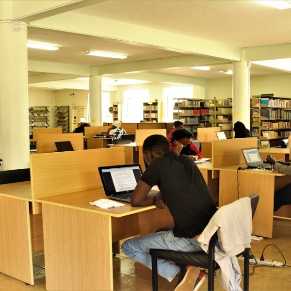 Students in the Library 2