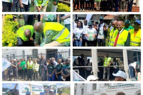 PAC-university-world-environmental-day_Picture3