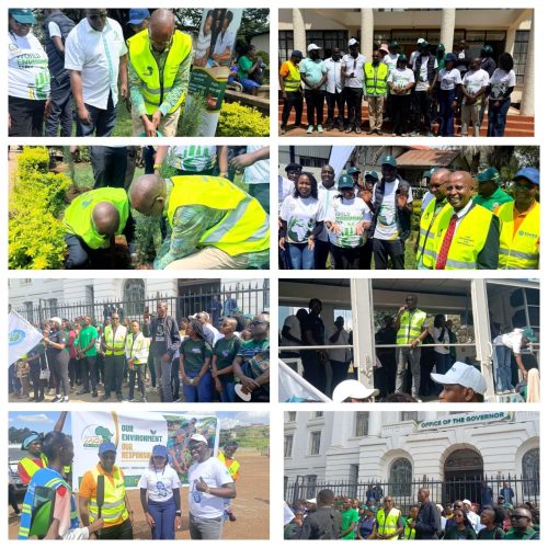 PAC-university-world-environmental-day_Picture3